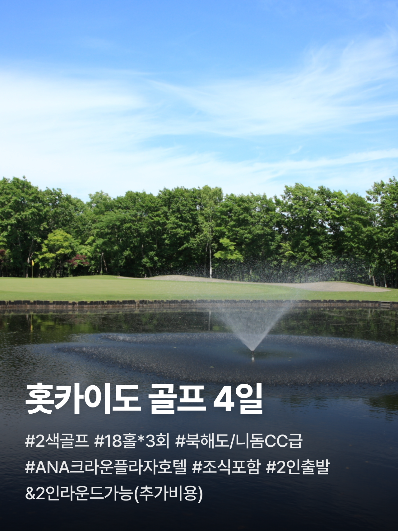 상세 정보 1
