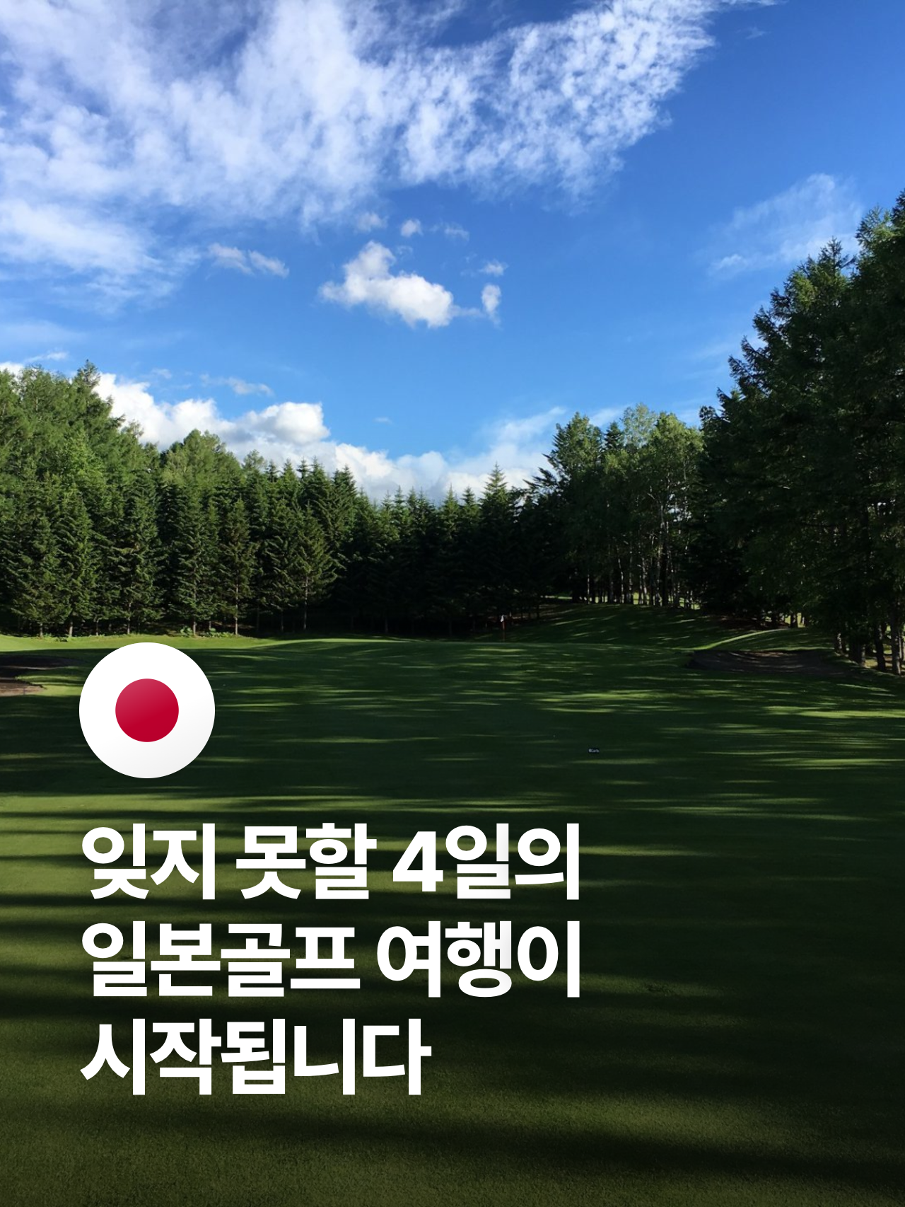 상세 정보 6