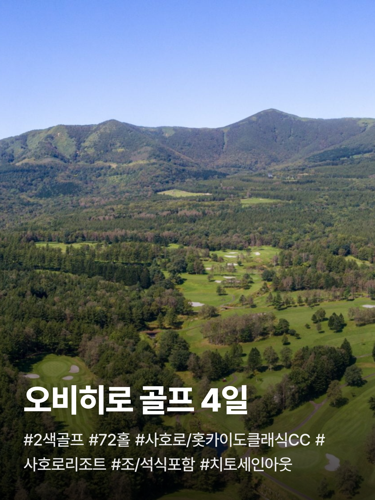 상세 정보 1