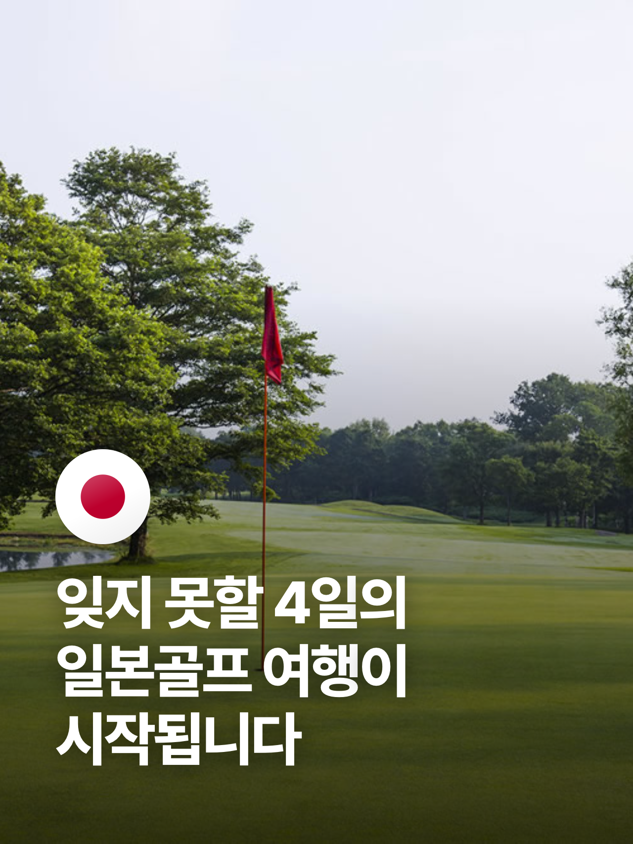 상세 정보 6
