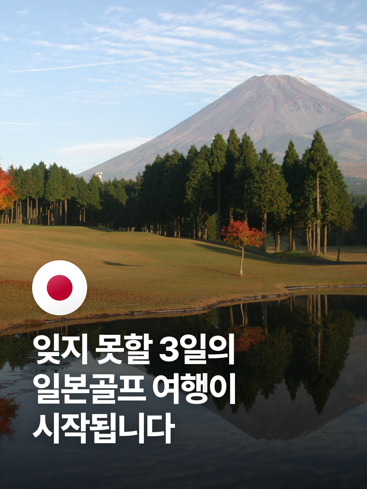 상세 정보 6