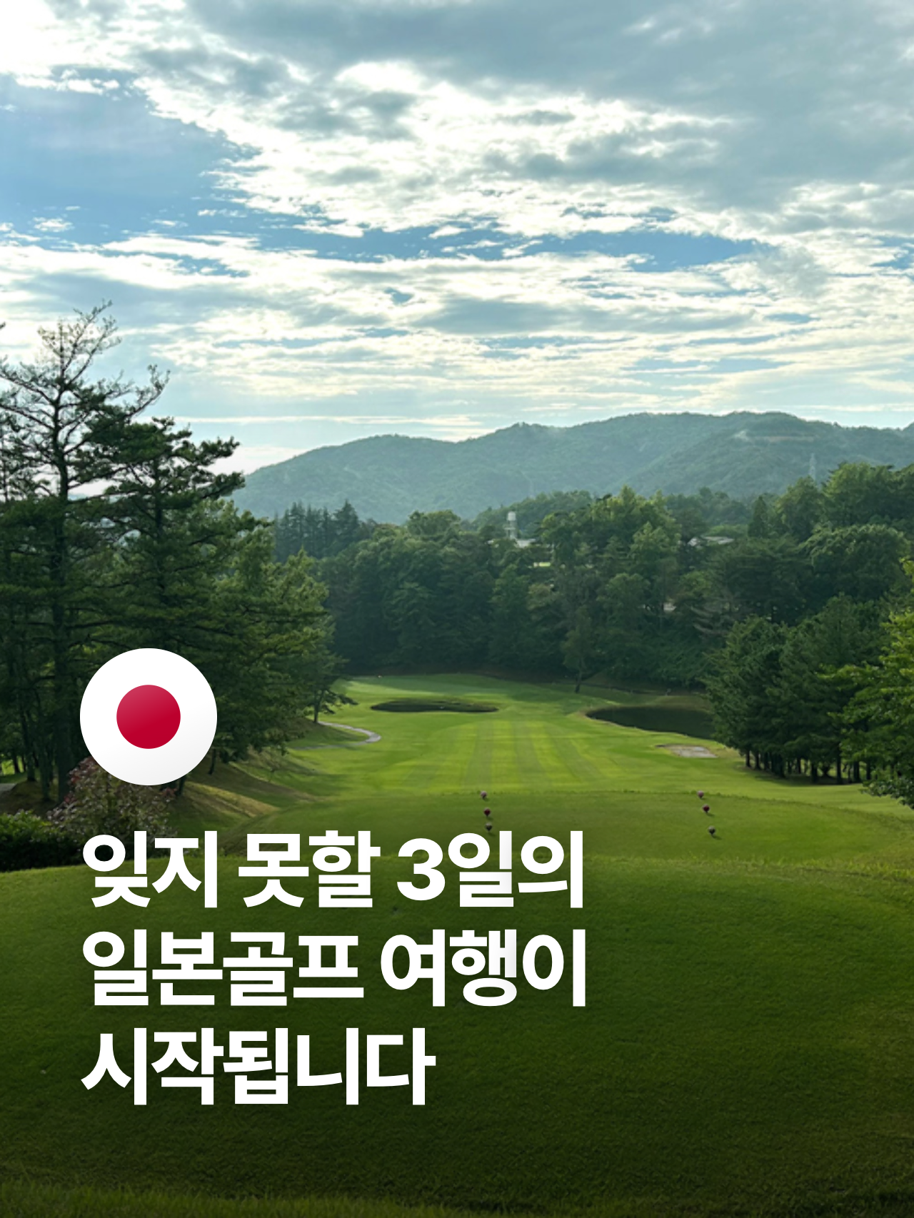 상세 정보 6