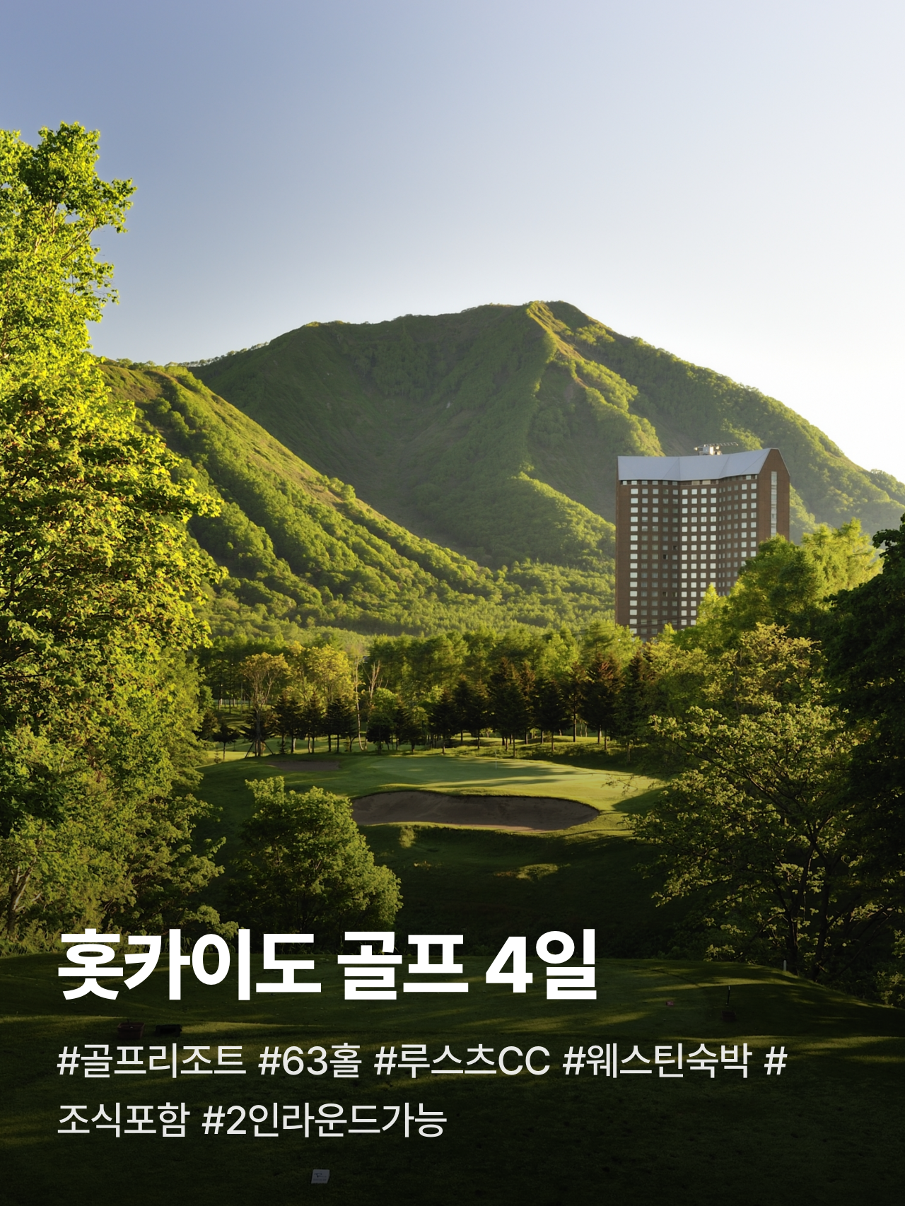 상세 정보 1