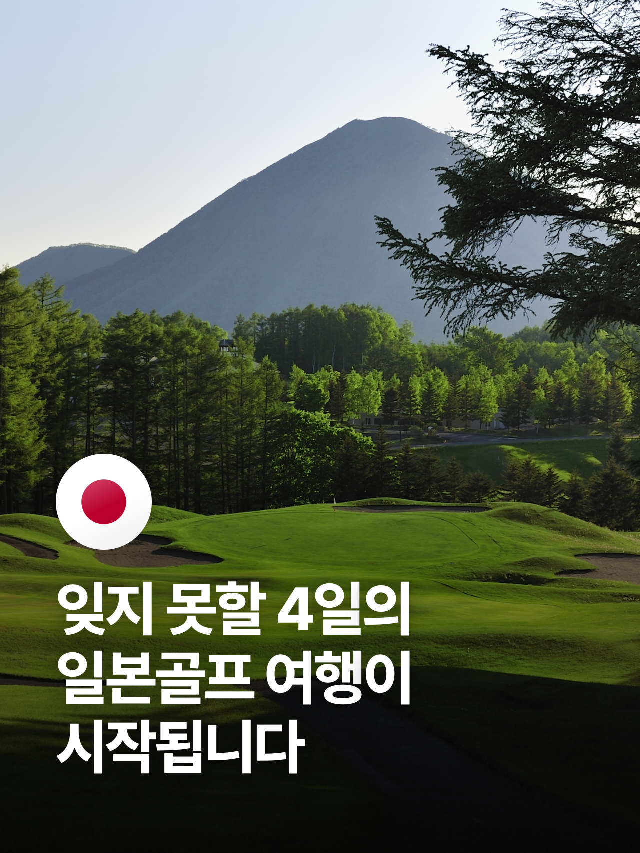 상세 정보 6