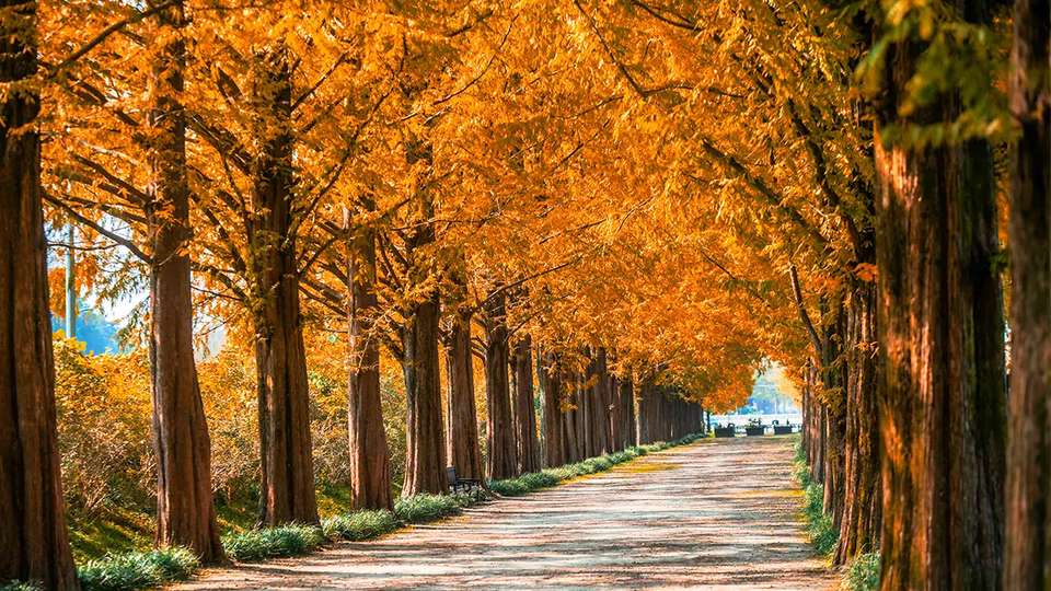 광주 박물관 투어 11월5일