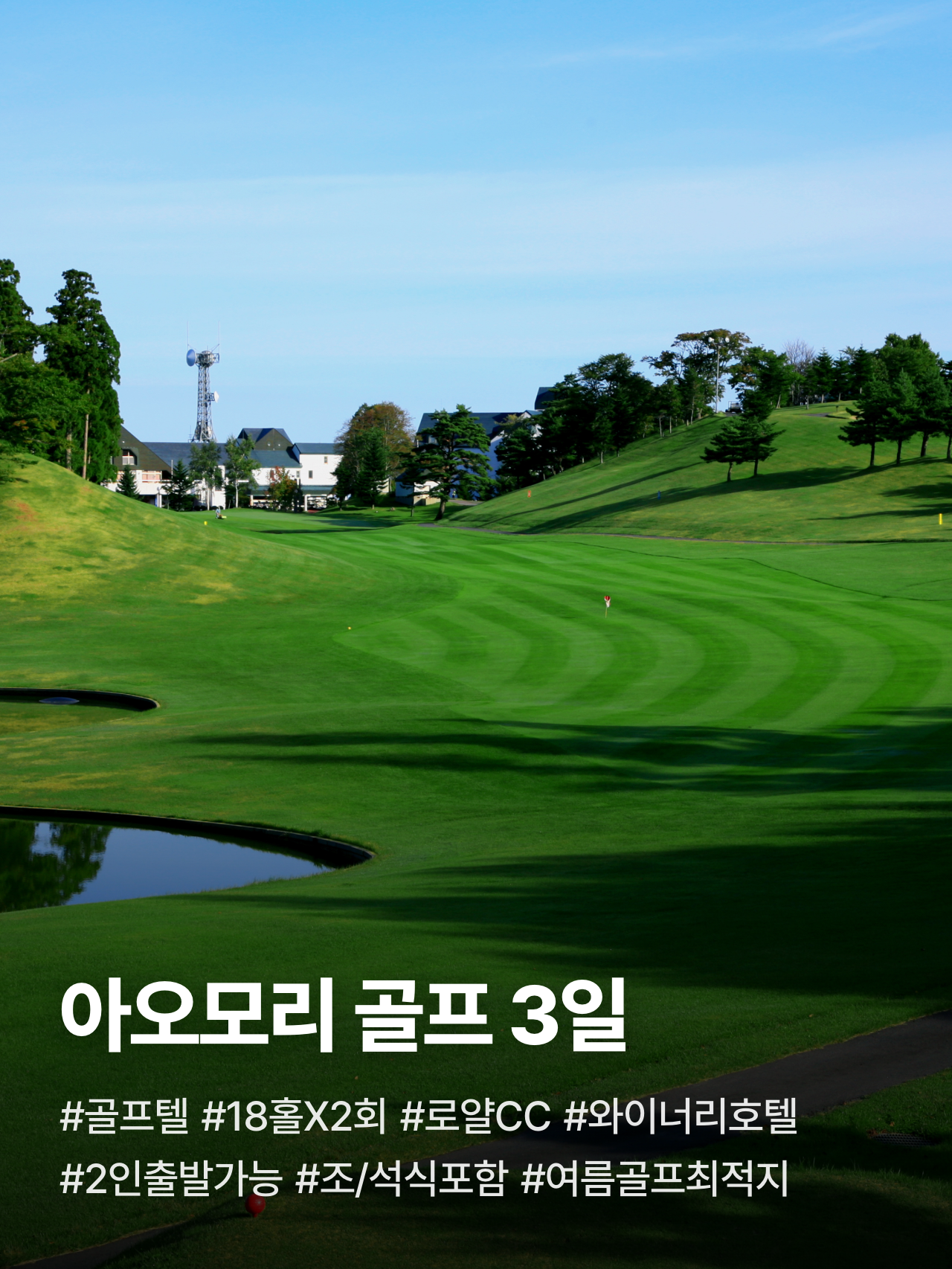 상세 정보 1