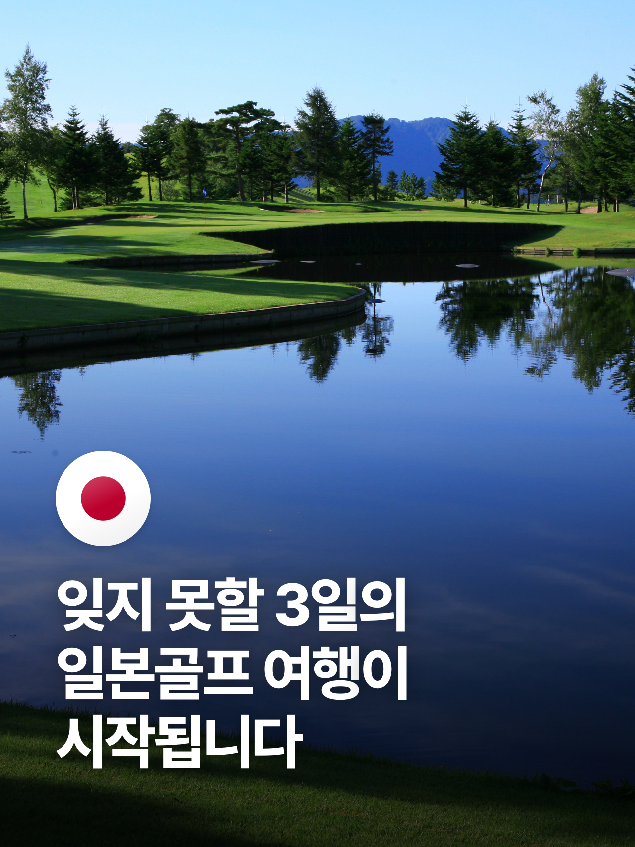 상세 정보 6