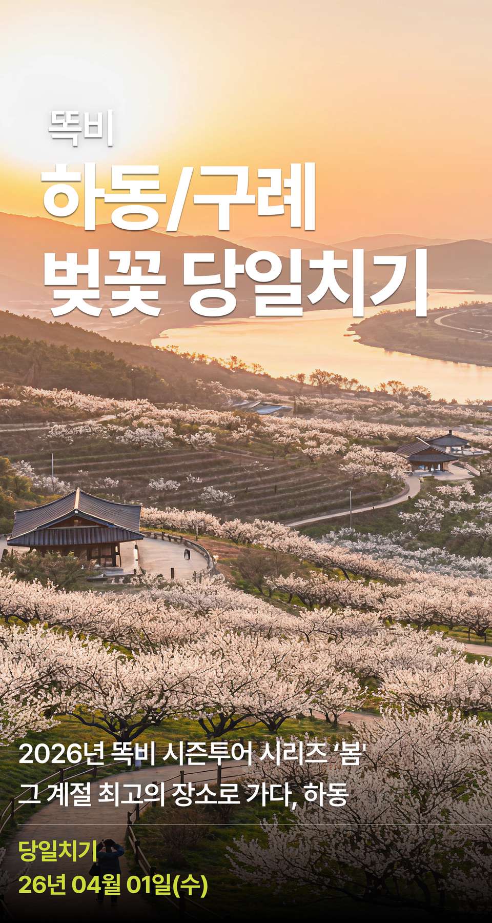 상세 정보 1