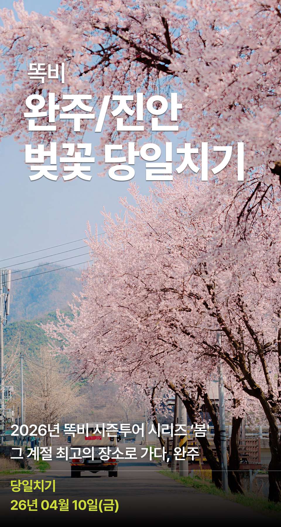 상세 정보 1