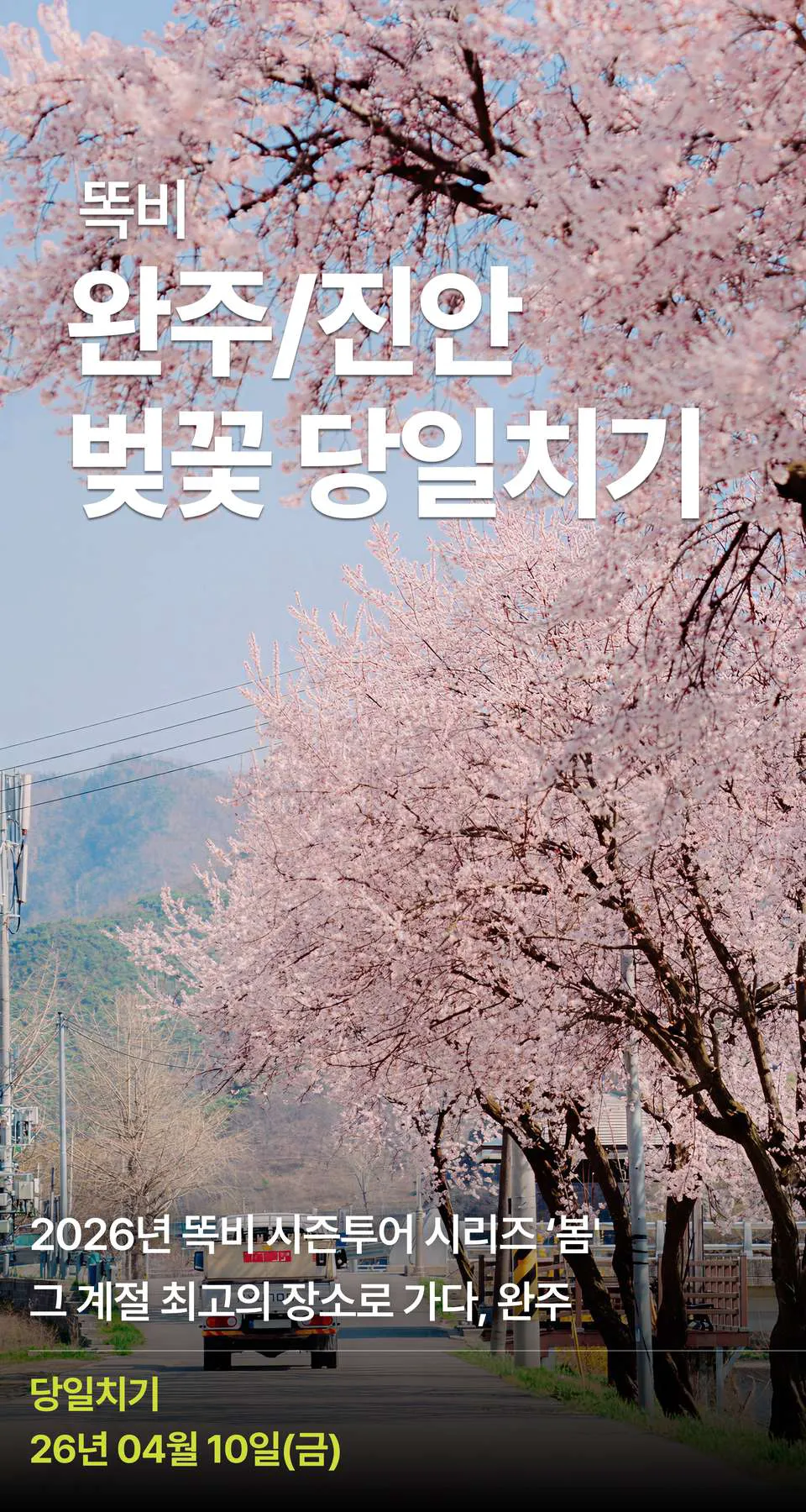 상세 정보 1