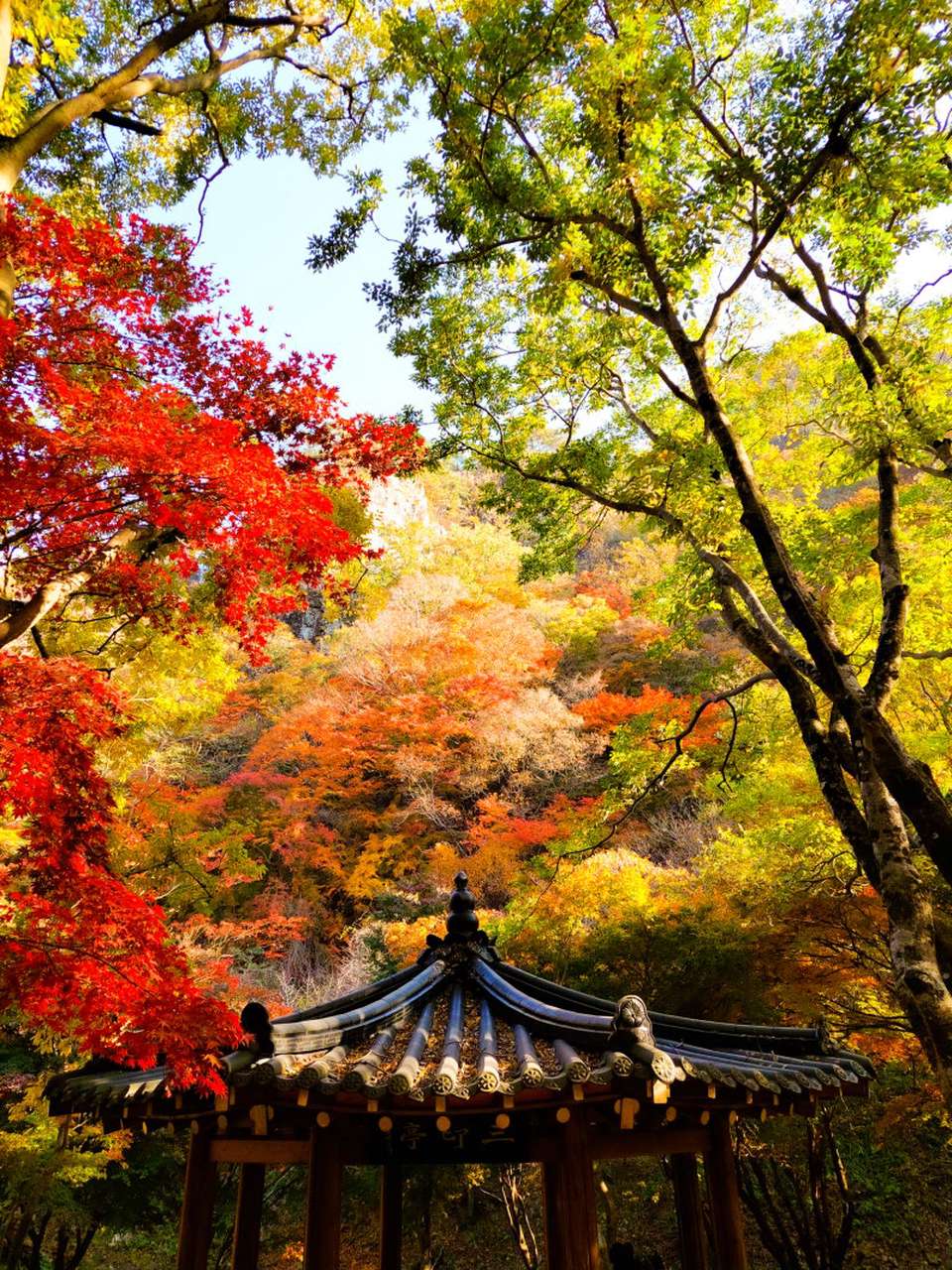 순창 단풍 당일치기 10월30일