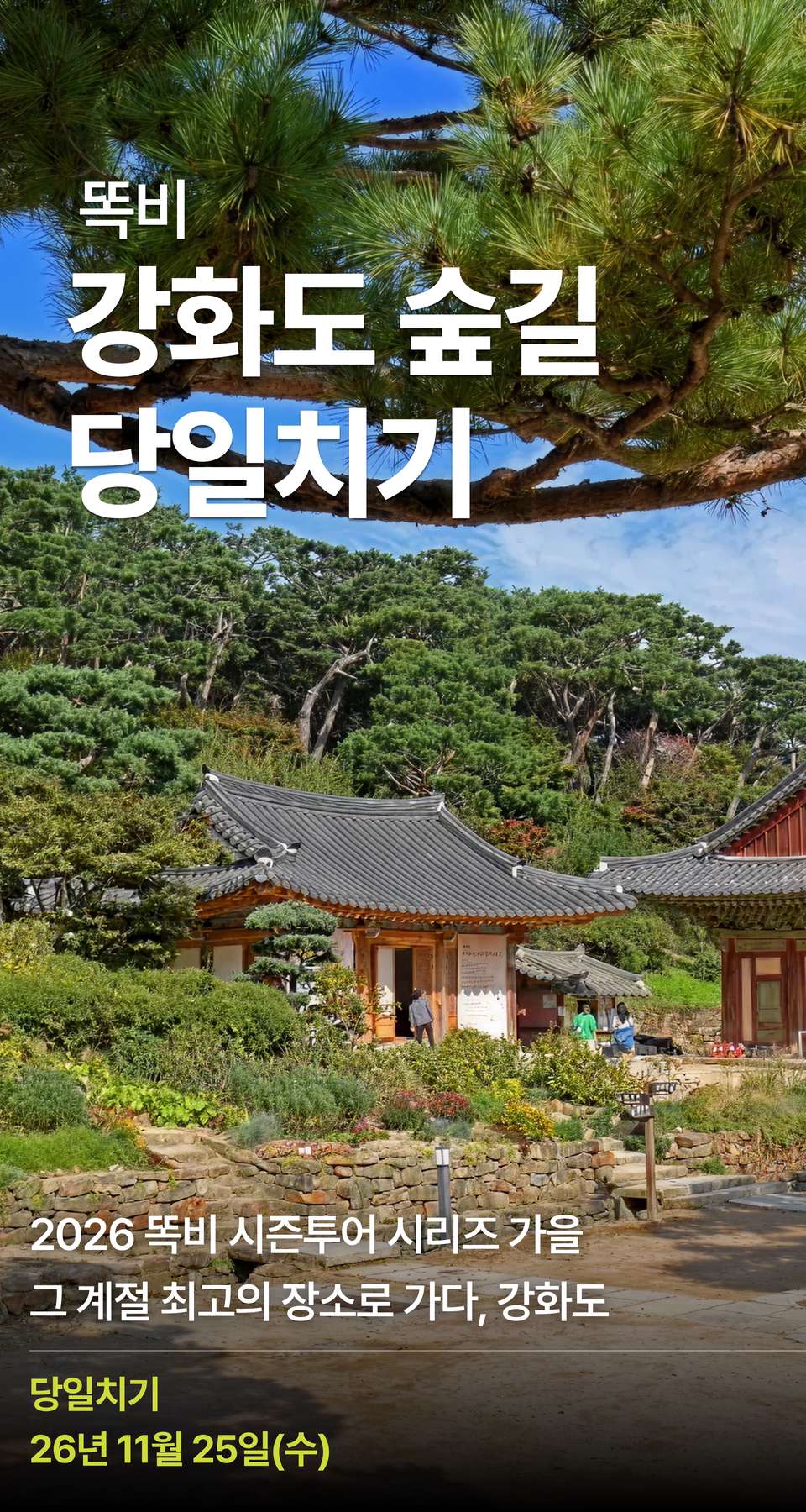 상세 정보 1