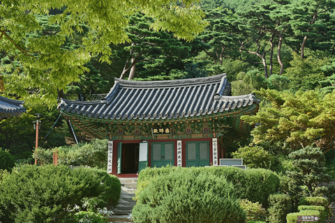 강화도 숲길 당일치기 11월25일