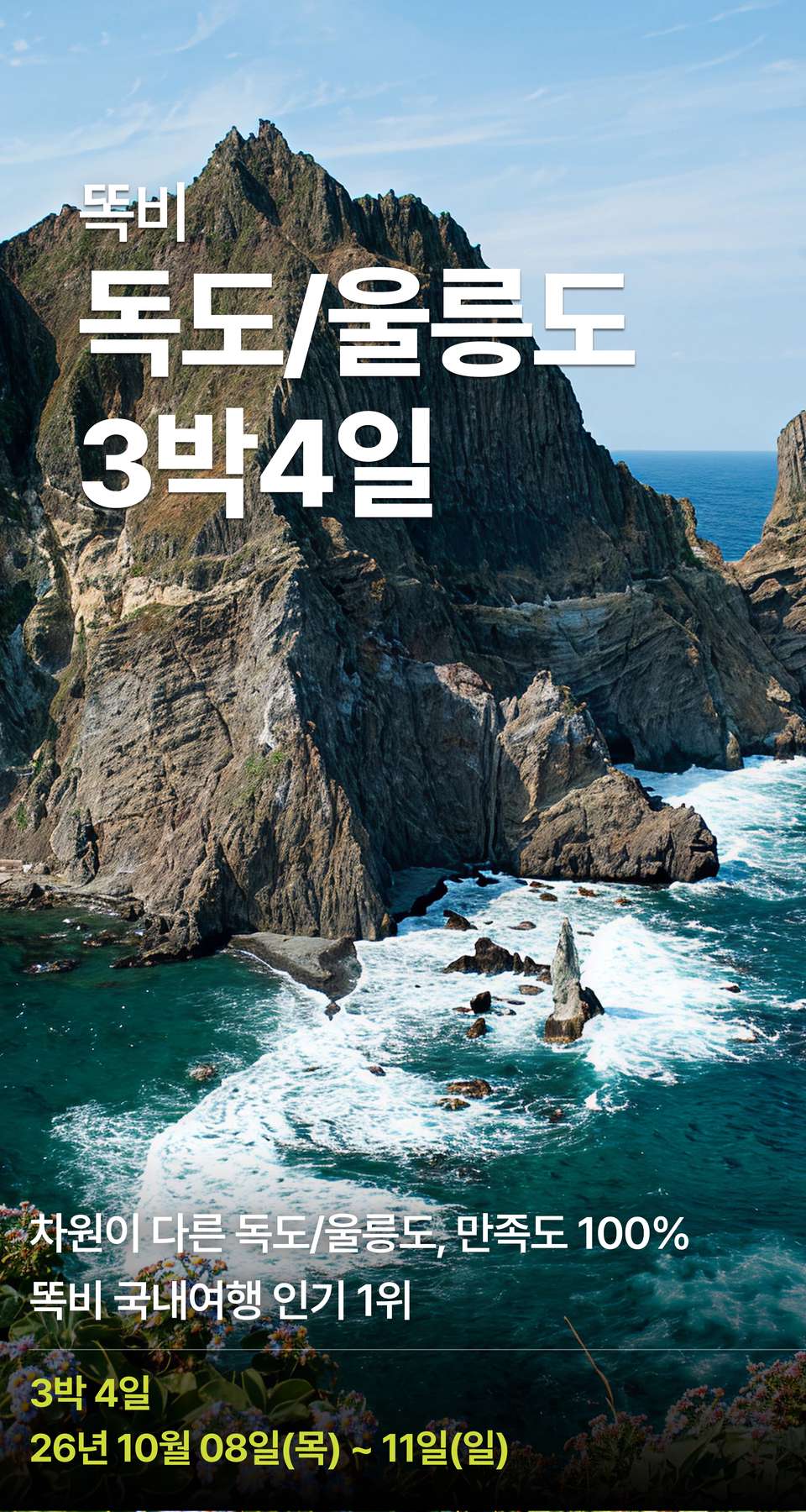 상세 정보 1