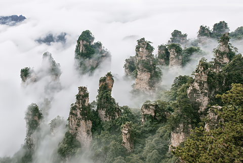 장가계 가을 비경투어 11월4일