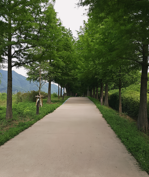 [출발확정] 하남 강변의 봄 4월4일