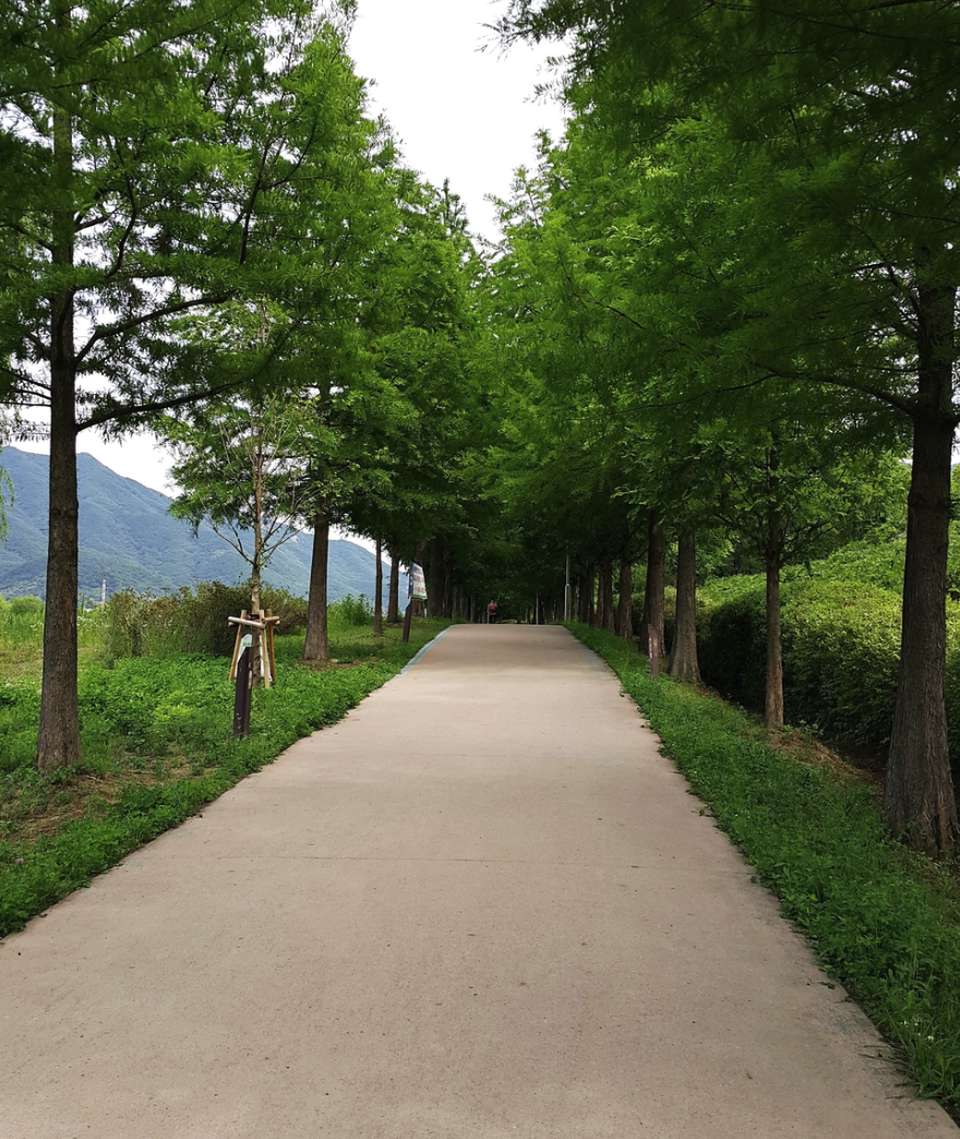 하남 강변의 봄 4월4일