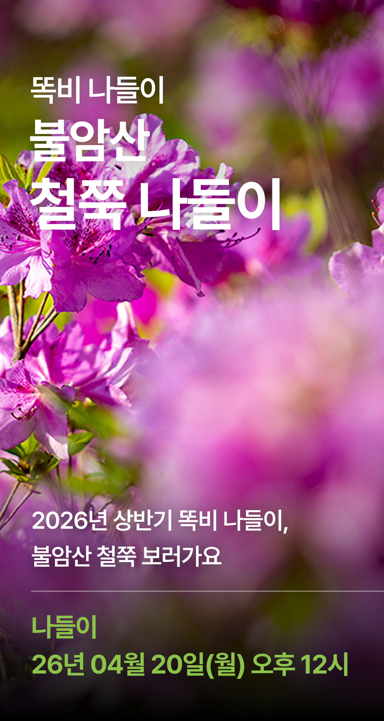 상세 정보 1