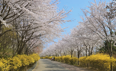 월드컵공원 산책 나들이 4월27일