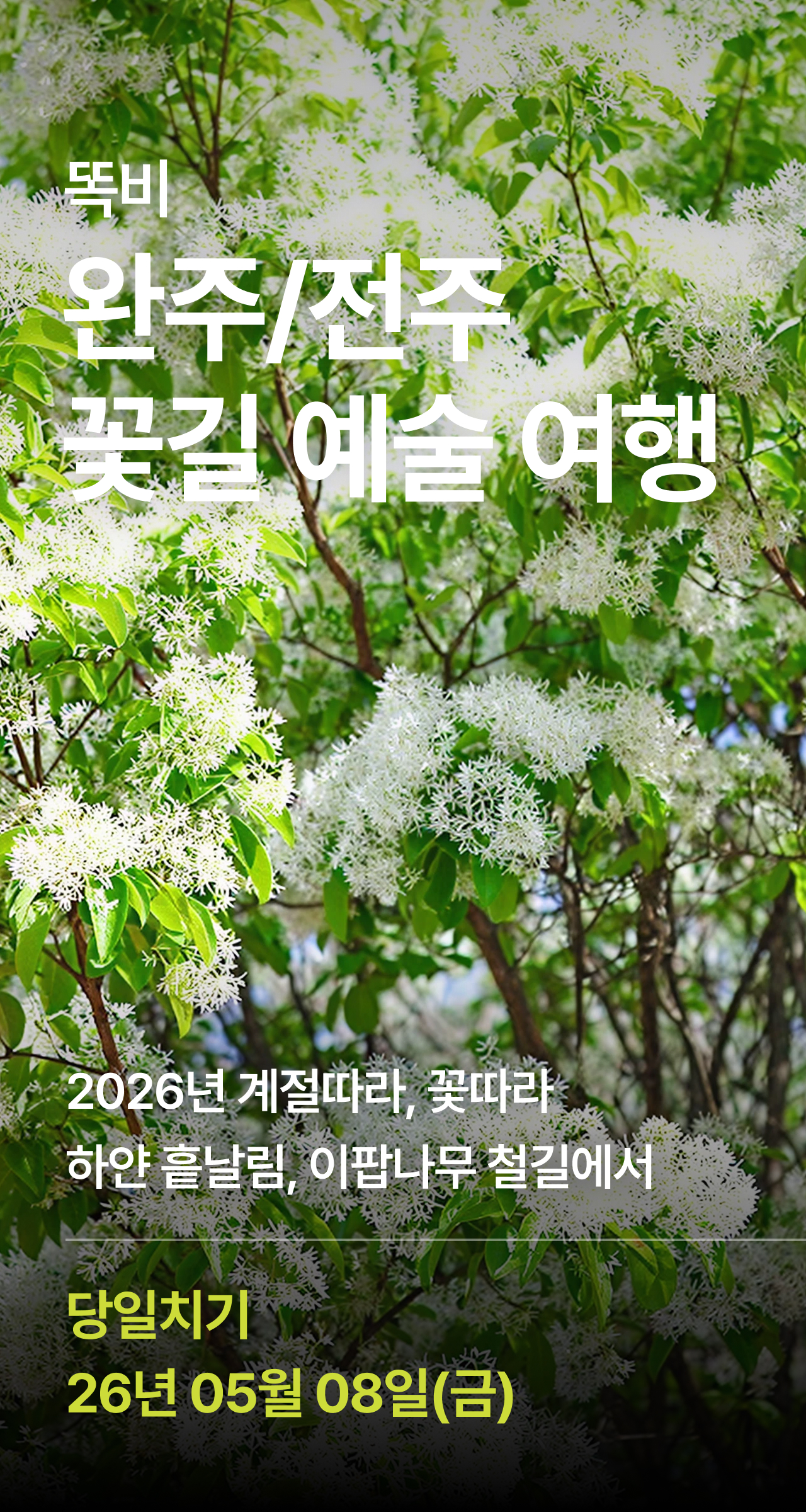 상세 정보 1