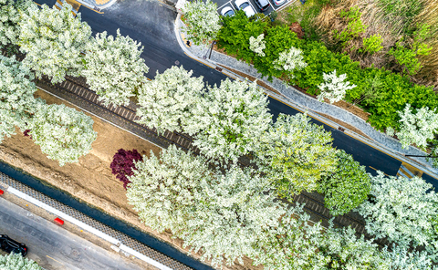 완주/전주 꽃길 예술여행 5월 8일