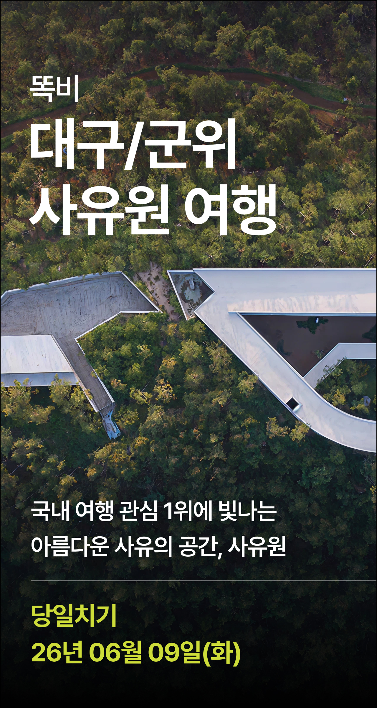 상세 정보 1