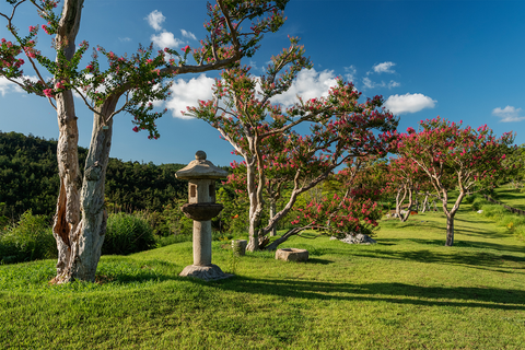 대구/군위 사유원 당일치기 6월 9일
