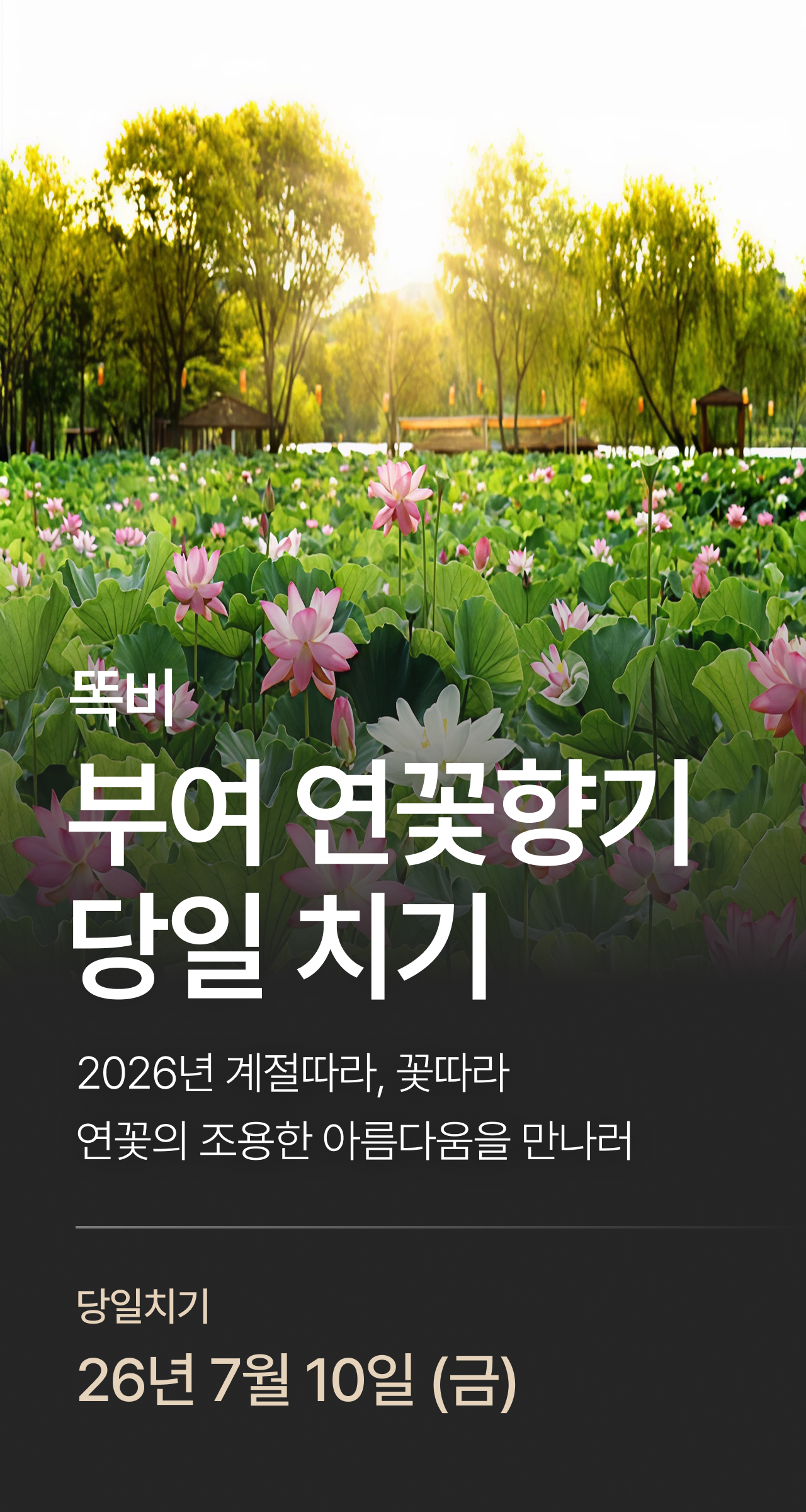 상세 정보 1