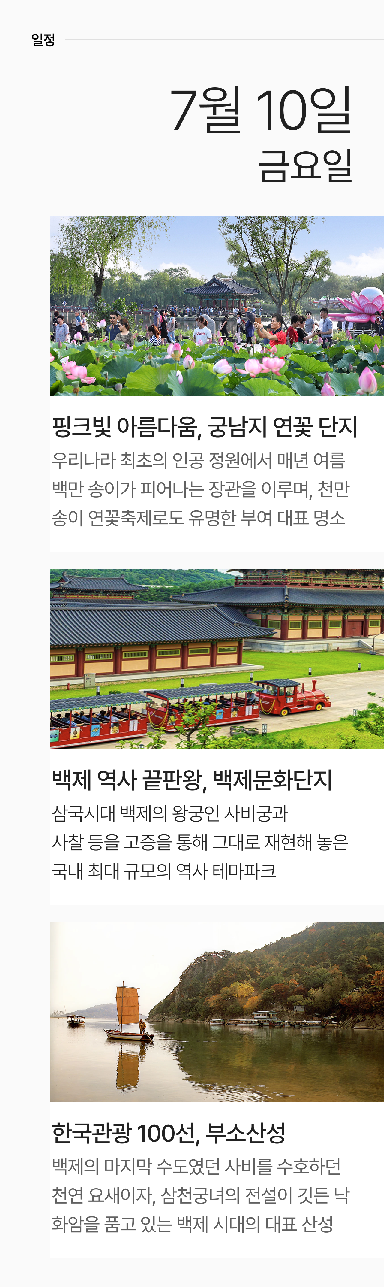 상세 정보 5