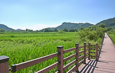 김해 낙동강 당일치기 8월 27일