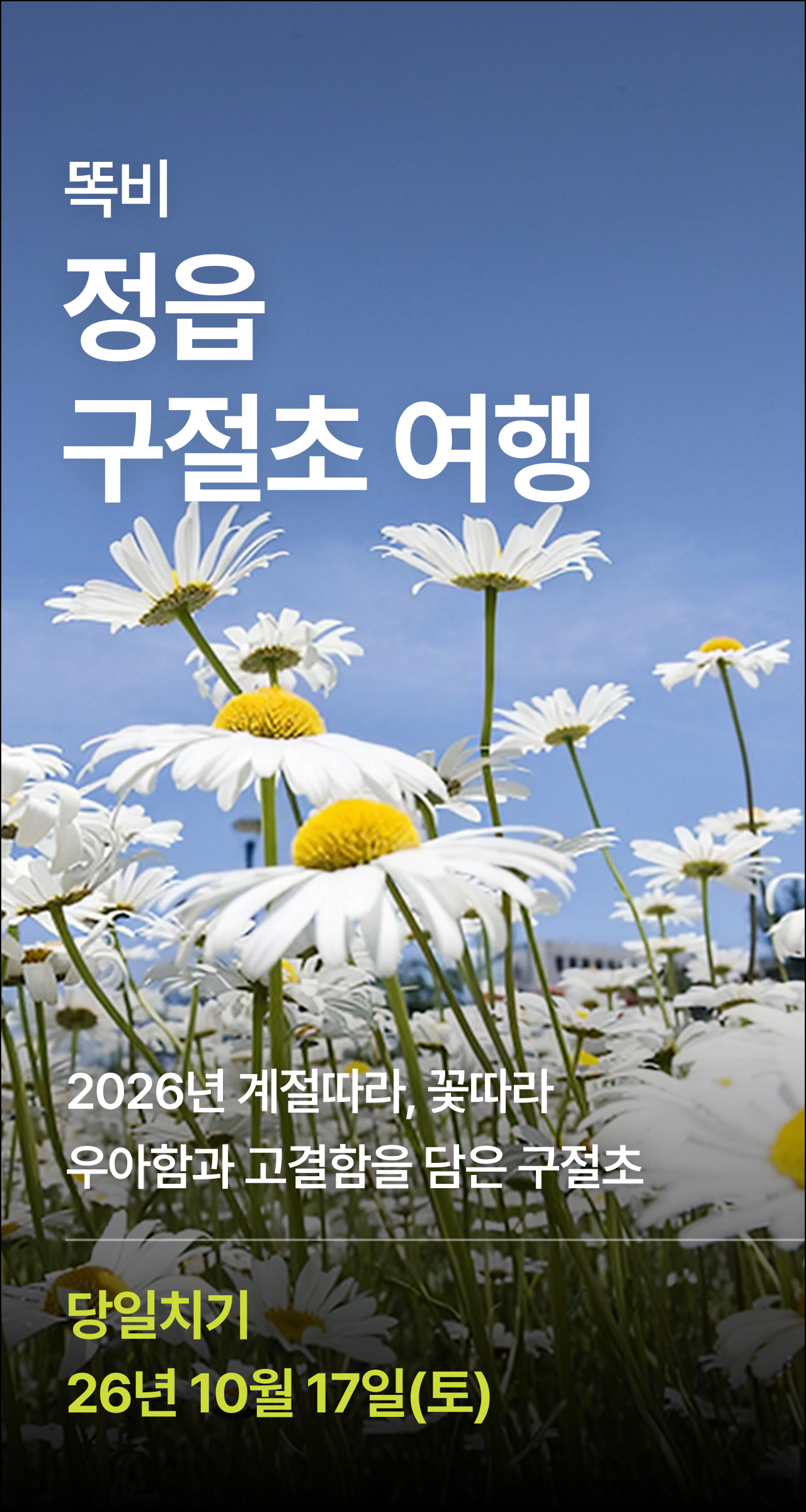 상세 정보 1