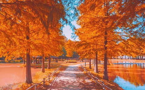 광주 단풍 당일치기 11월 5일