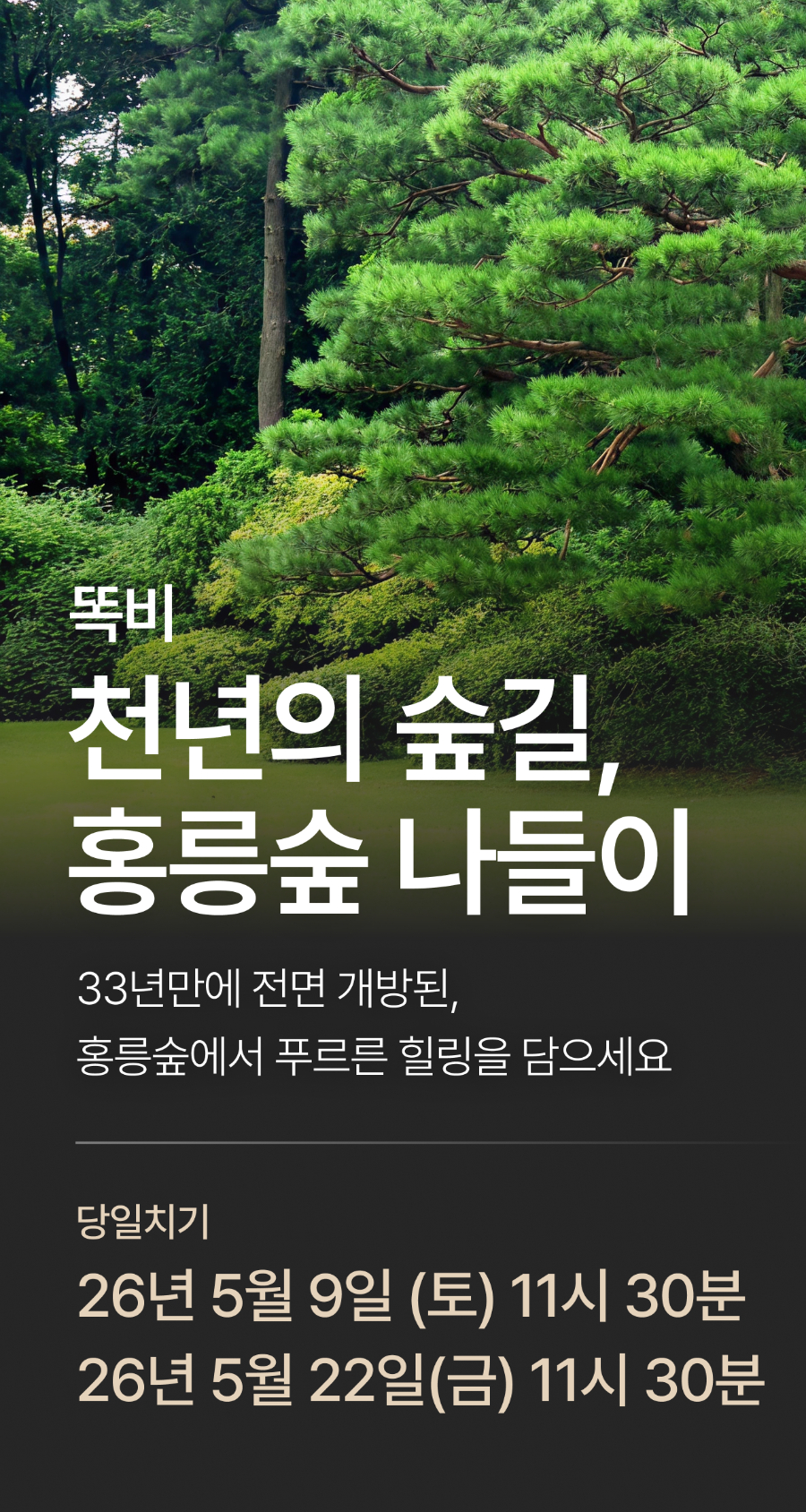 상세 정보 1