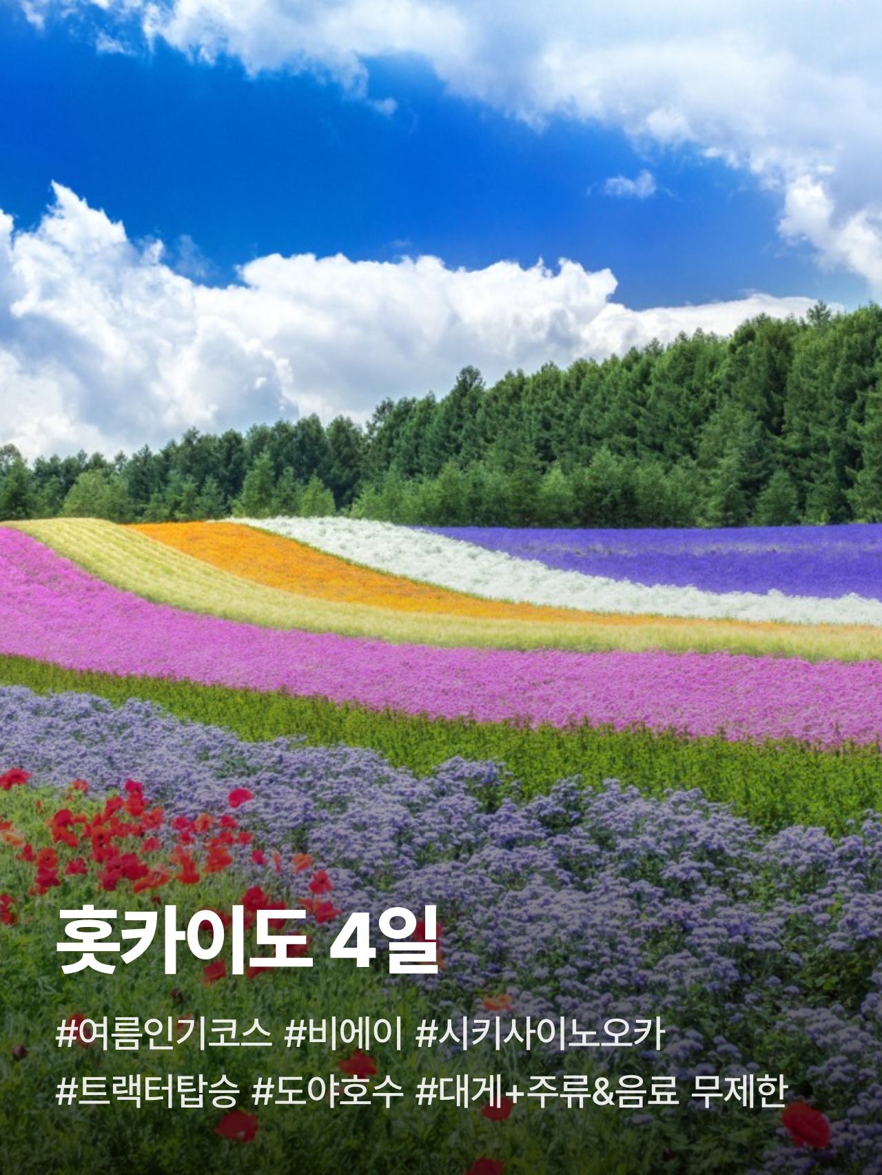 상세 정보 1