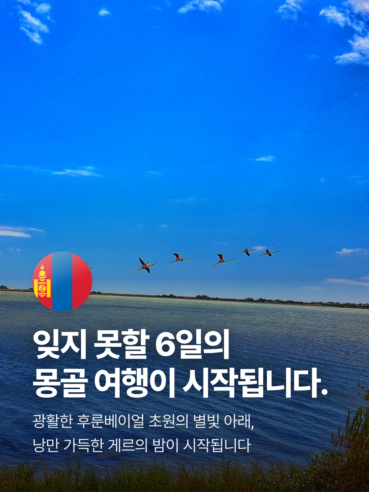 상세 정보 6