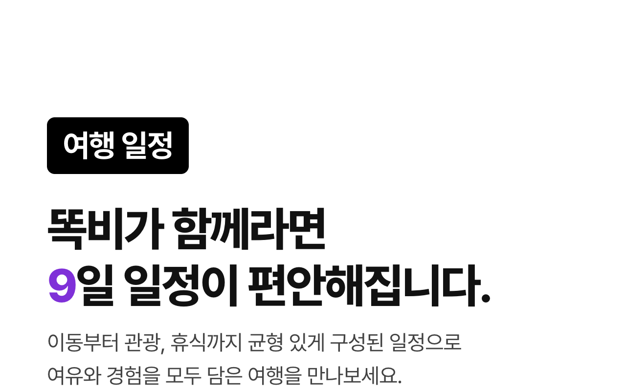 상세 정보 8