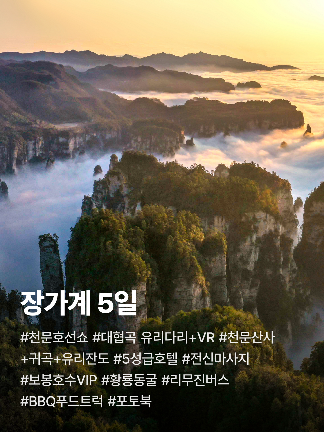 상세 정보 1