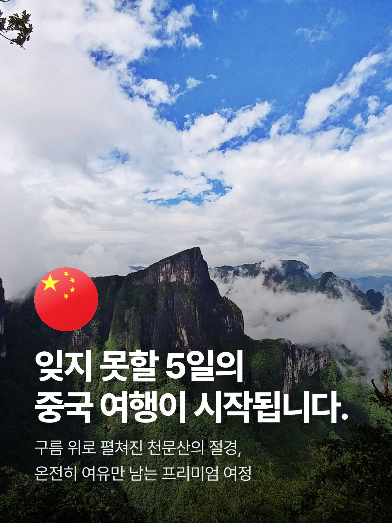 상세 정보 6