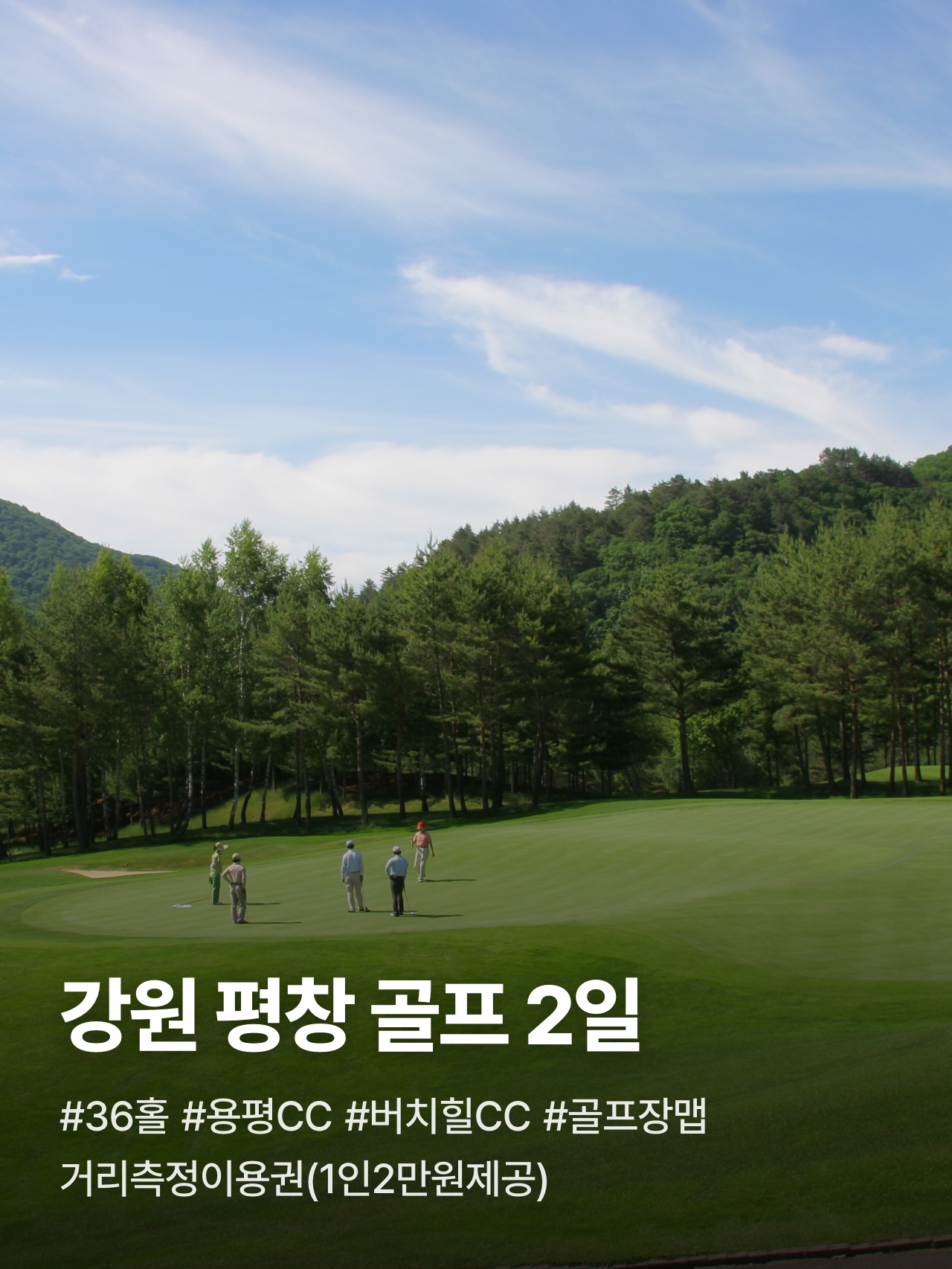 상세 정보 1