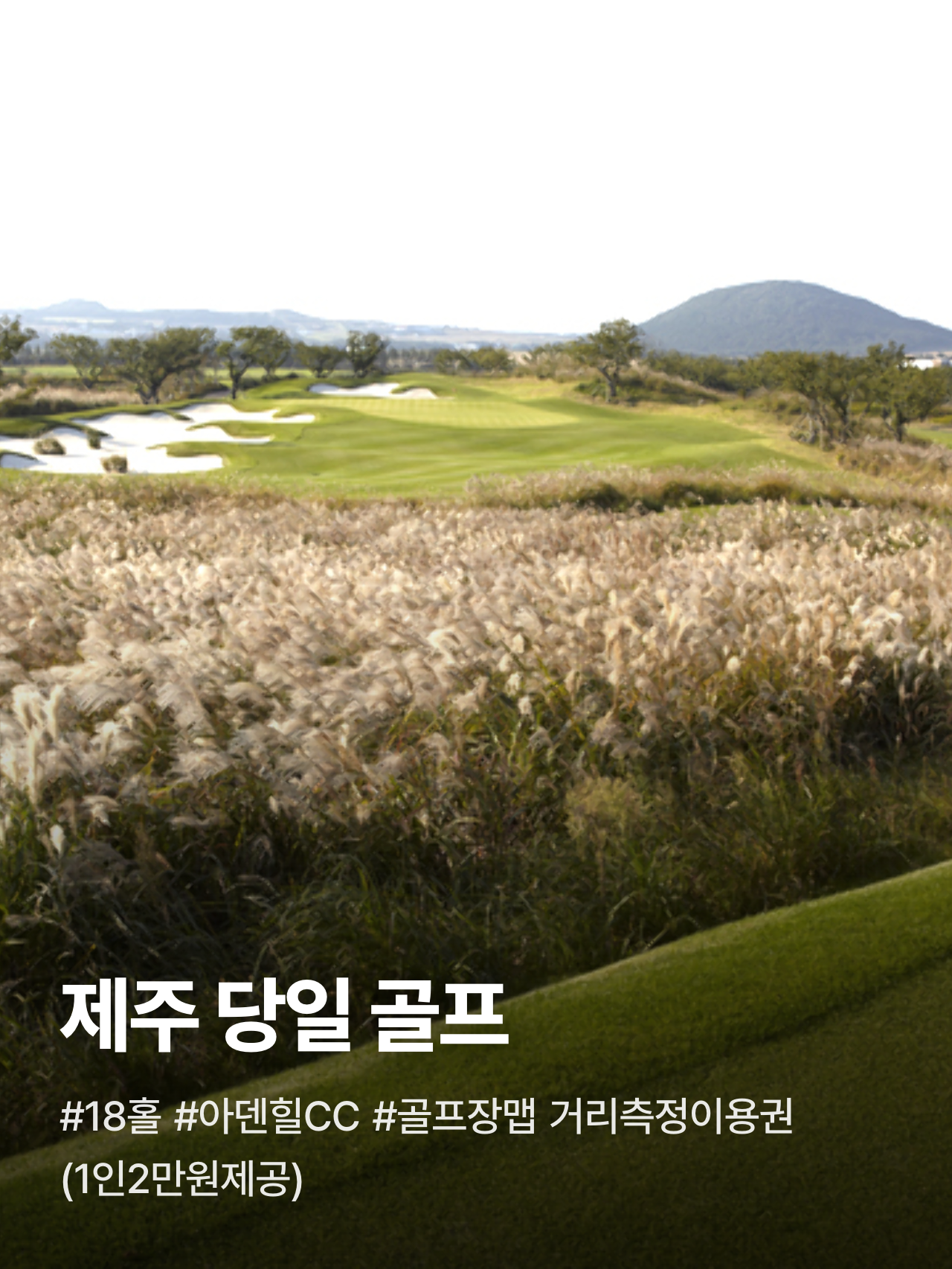 상세 정보 1