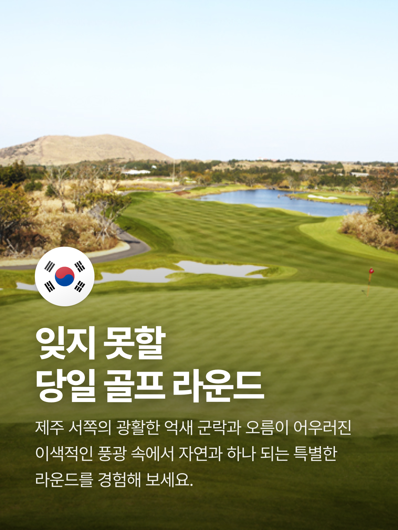 상세 정보 6
