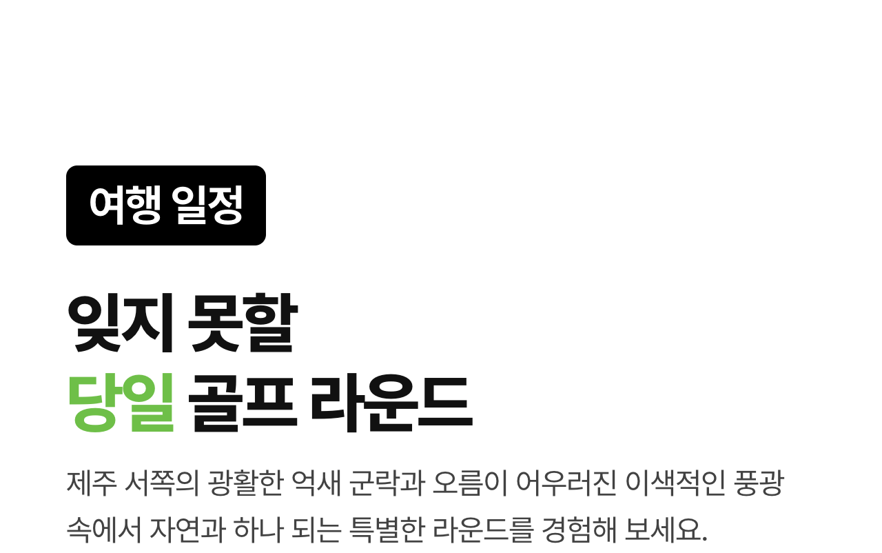 상세 정보 8