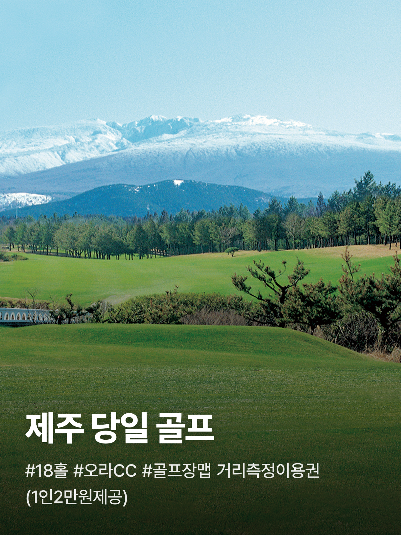 상세 정보 1