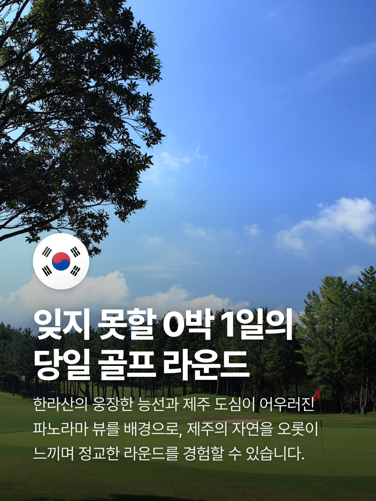 상세 정보 6