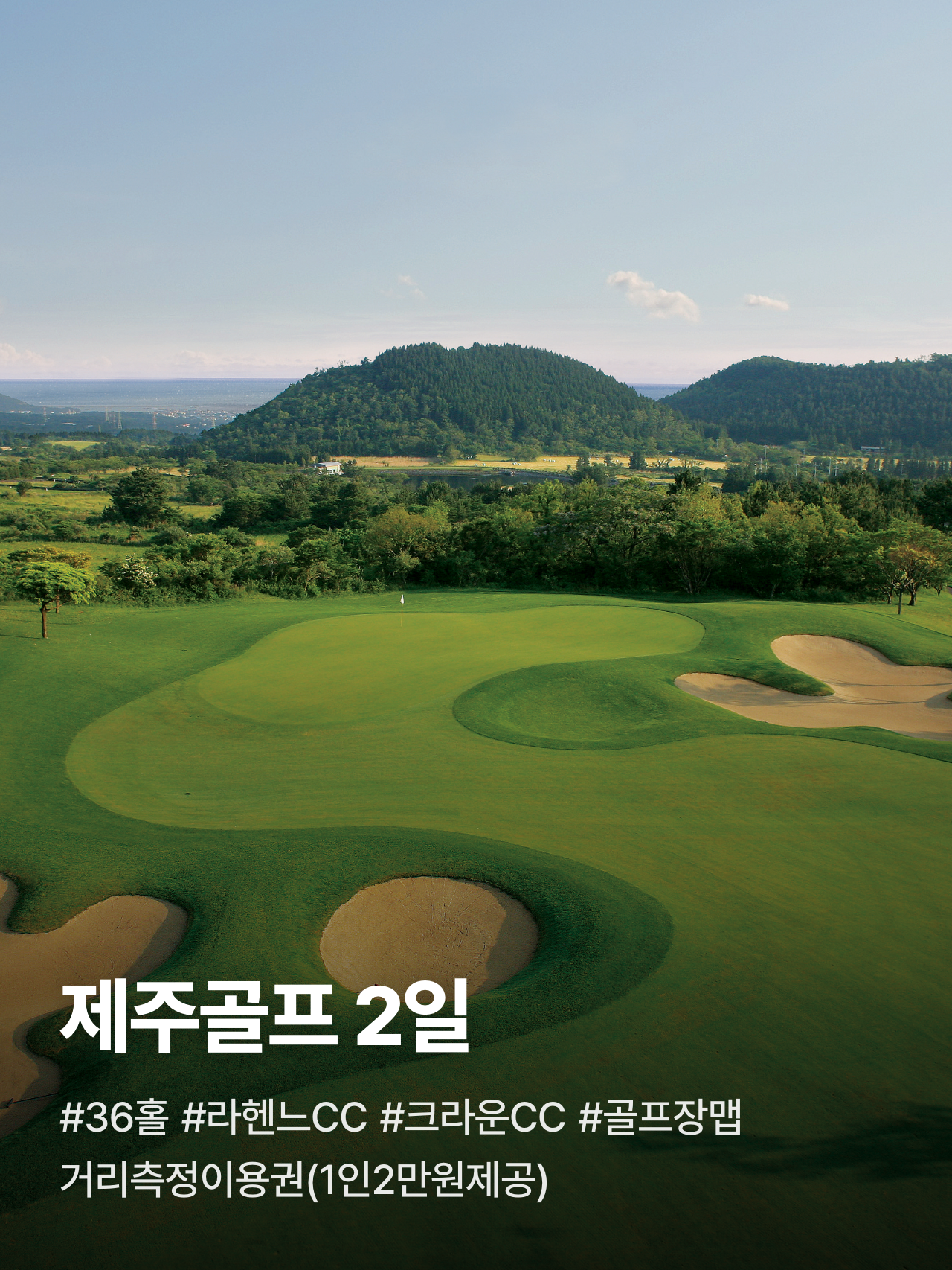 상세 정보 1