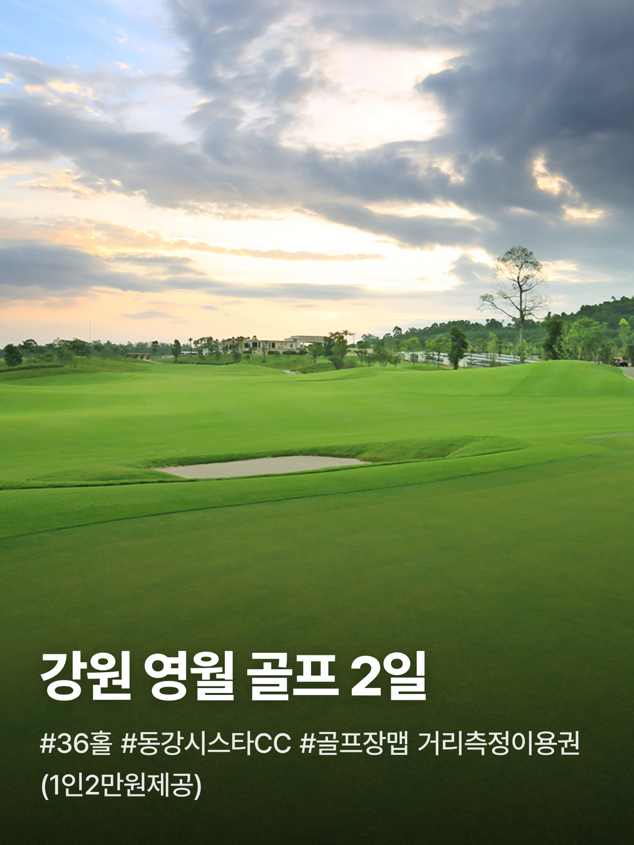 상세 정보 1