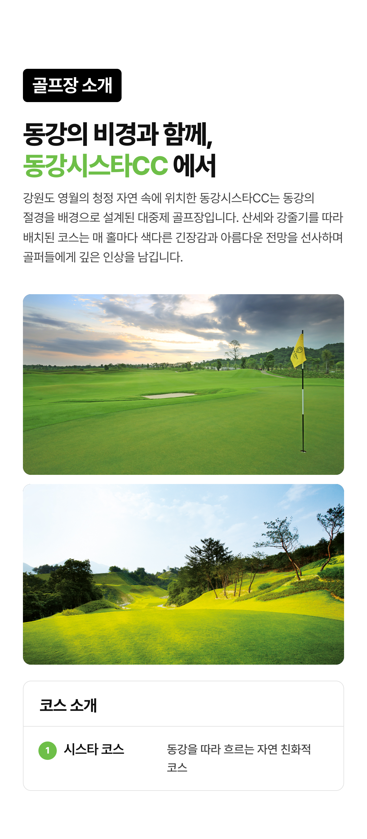 상세 정보 7