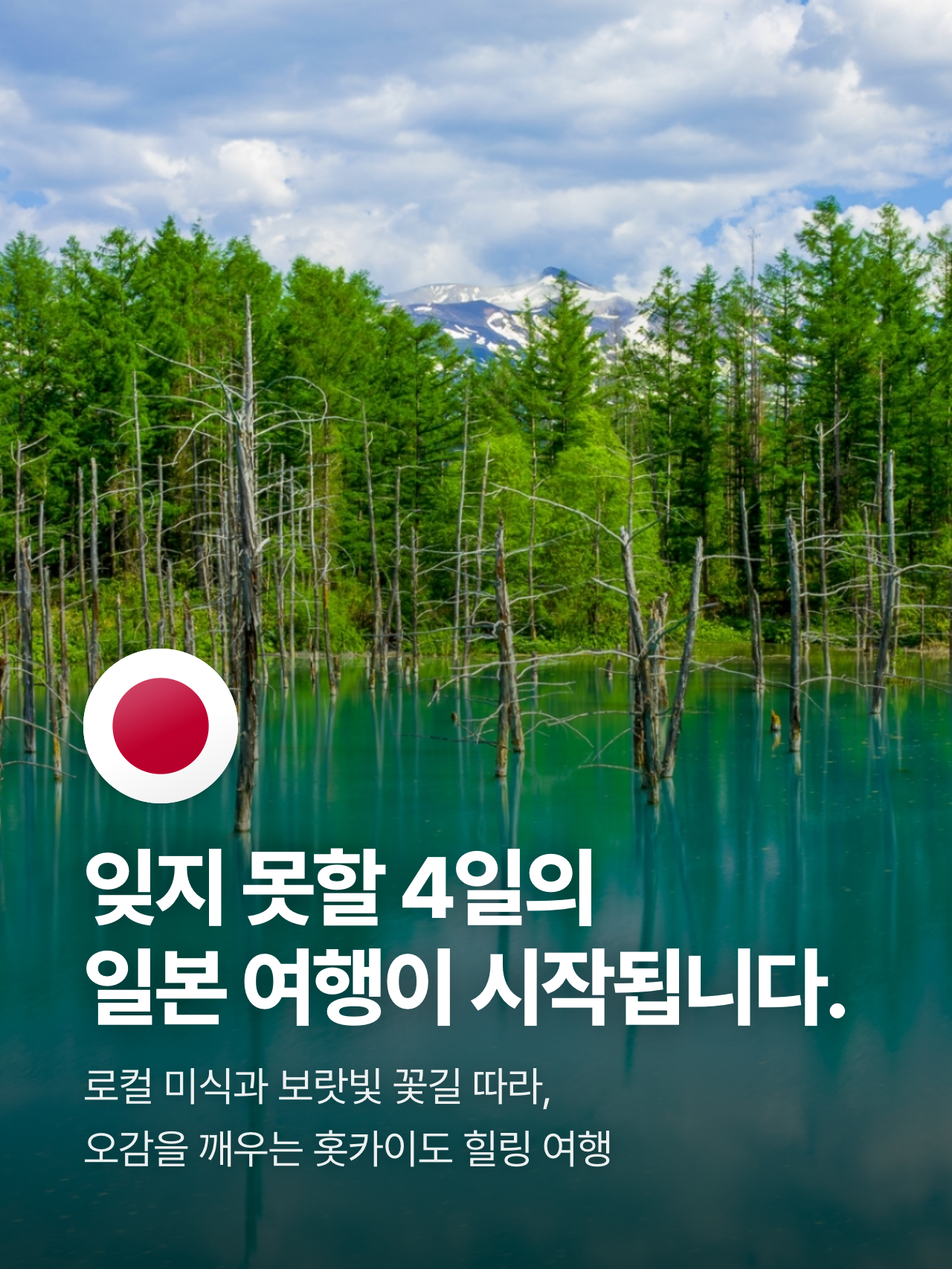상세 정보 6