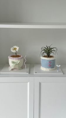 몽글팟 이미지