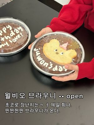 윌비오 big brownie 이미지